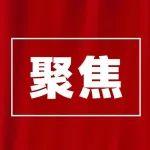 2025年专精特新“小巨人”企业认定和复核工作启动