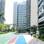 优化申购主体！海南安居房将有重大变化