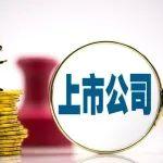 蘇能股份2024年年度股東大會召開