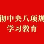 学习教育进行时 | 中国中冶：以学促行强堡垒 凝心铸魂谱新篇
