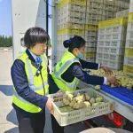收費人員伸緩手 助力司機挽損失