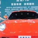 又一家主機廠成立，叫金魚汽車！換個名字就能崛起？
