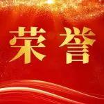 中國中冶榮獲4項第二十五屆中國專利獎