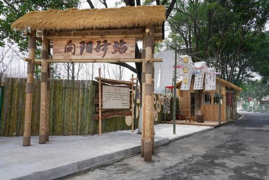 圖片