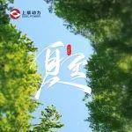 今日夏至｜盛暑已至，萬物繁盛