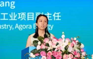 博众智合能源转型中国工业项目副主任王立
