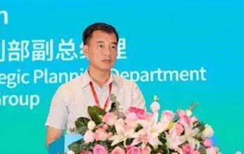 鞍钢集团战略规划部总经理顾颜