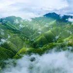 自然资源部法规司：新法启航，共筑矿业高质量发展之路