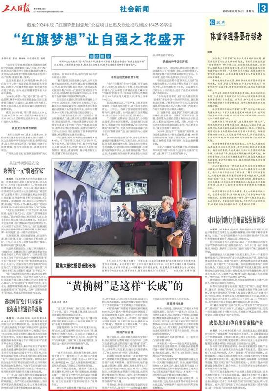 6版面.jpg