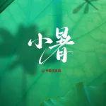 小暑｜小暑开鹏翼，新蓂长鹭涛