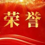 中国中冶11篇党建案例入选中施企协2025年工程建设企业党建工作典型案例