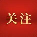 现场直击！居民排队参与！| 附篮球赛事预告