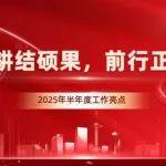 深耕结硕果，前行正当时——2025年上半年亮点快报