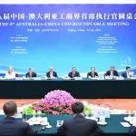 中澳总理共同出席第八届中澳工商界首席执行官圆桌会，向文波参加