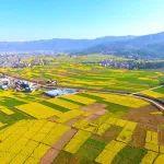 深化农业水价综合改革的典型模式与对策建议