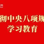 学习教育丨五矿新能：以作风建设新成效赋能高质量发展