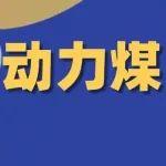 反内卷时代，动力煤的「危与机」！