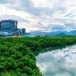 国能印尼爪哇公司荣获印尼最佳电力奖