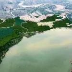 投资 3 亿！准能集团沿黄生态廊道建设项目首期工程启动