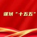 關(guān)于“十五五”時(shí)期國(guó)企民企協(xié)同發(fā)展，國(guó)家發(fā)展改革委召開(kāi)重要會(huì)議