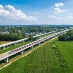 党建强路，高质量发展蓄势聚能