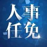 徐新福任国家能源集团董事、党组副书记