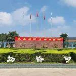 “重器锋芒·2025重型机械展展商风采”--河南威猛振动设备股份有限公司