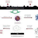 中国煤科10大创新成果┃杨建威副研究员：深埋松软大变形巷道高压锚注主动防控成套技术及工程实践