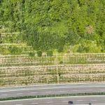 @公路管理部门：这些实践案例值得借鉴