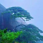 期货橱窗 | 7月焦炭价格走出长期下行通道