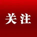 2025年二季度国际四大矿业公司铁矿石产销量大幅增长