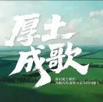 “退矿还耕”护黑土，央企复垦筑粮仓