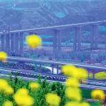 总投资80.76亿元，11个标段！陕西一高速公路项目中标信息公布