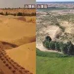 这下黄河真的被“种草"了!