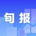 2025年8月中旬钢材社会库存监测旬报