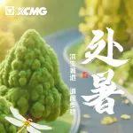处暑 | 凉生暑退 道阔步稳