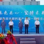 东方希望丰都水泥丰都钙基产业园一期项目点火