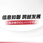 一图读懂欣旺达2025半年报