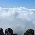 观点共享 | 谁在填补中国的空缺？——十一个钨资源国概览
