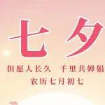 七夕 | 但愿人长久 千里共婵娟