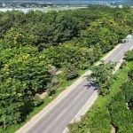 10065公里！世界级景观大道——G219展现交旅融合新活力