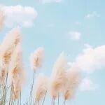 【養(yǎng)車之道】白露將至，長城潤滑油為您的愛車添一份“潤”心守護(hù)