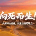 向死而生：今天我更新了电脑桌面｜赛科尼的梦想日记