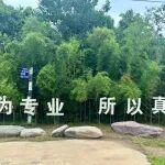 质量是企业的生命线｜威猛股份以实干筑牢发展根基