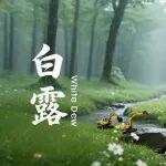 白露 | 清風(fēng)白露 年歲無憂