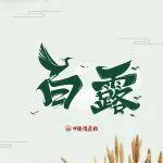白露｜渐知秋实美