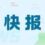 8月主要冶金产品进出口快报