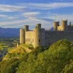 自然資源部：允許在永久基本農(nóng)田上設(shè)立礦業(yè)權(quán)，開(kāi)采方式需為地下開(kāi)采，10月1日施行！