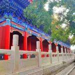 期貨櫥窗 | 鎳：多空資本增倉(cāng)博弈勢(shì)均力敵，價(jià)格窄幅震蕩