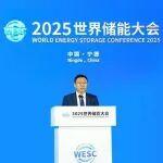 國(guó)際可再生能源署在寧德發(fā)布其全球首份儲(chǔ)能專題報(bào)告完整版